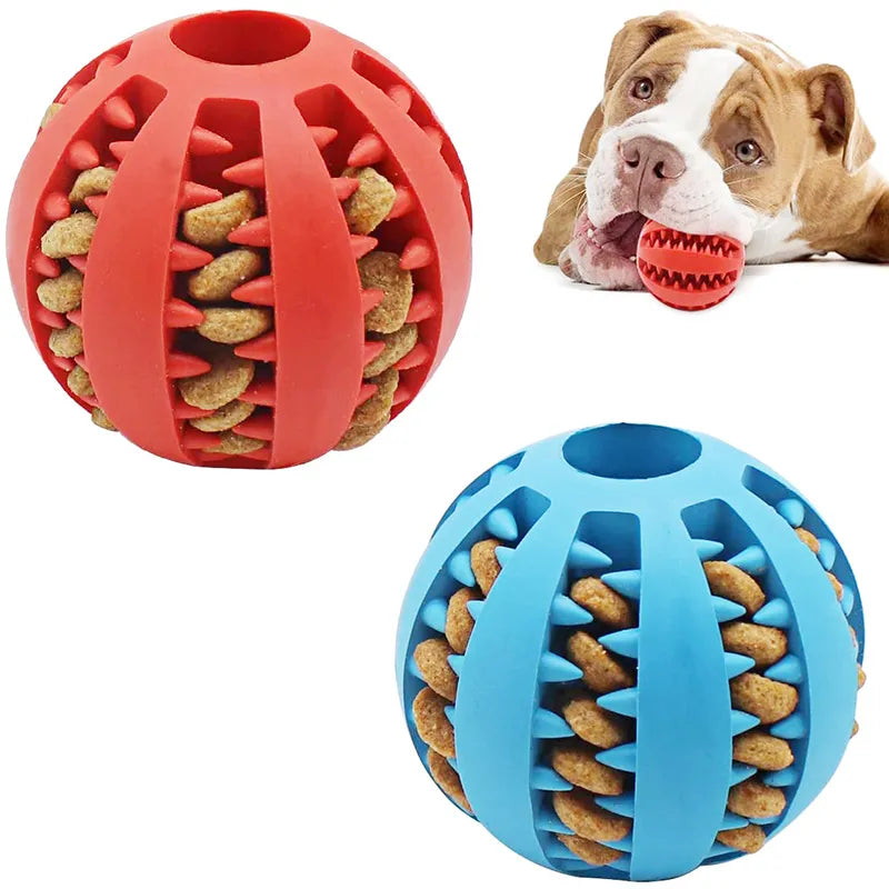 Dog Chewing Ball Toy